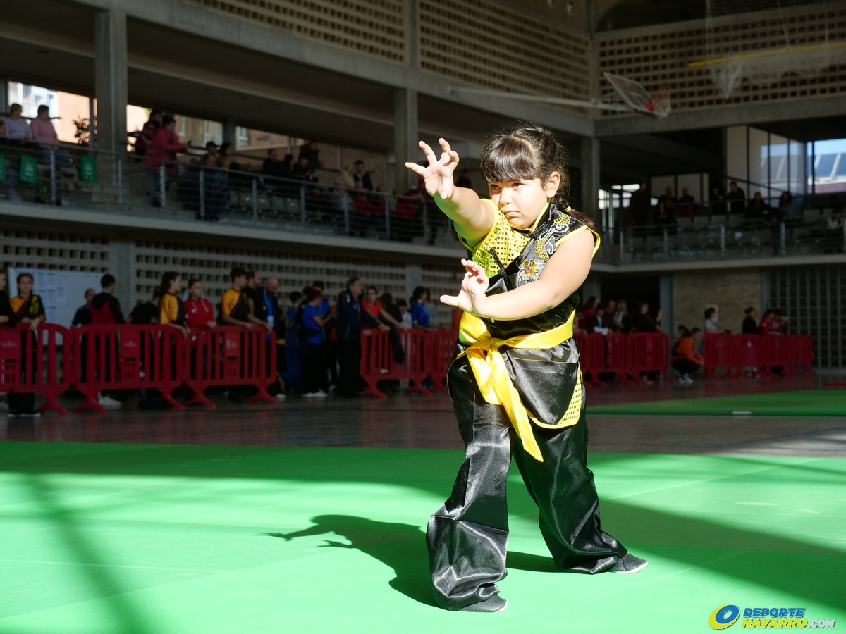 Gran acogida del XIII Campeonato de España de  Wu-Shu Tradicional en Pamplona 05-11-22. FOTOS.